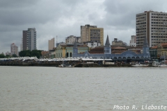 PICT0231