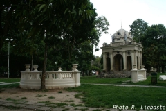 PICT0881