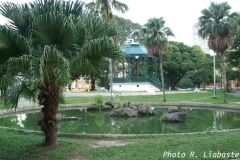 PICT0884