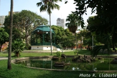 PICT0885