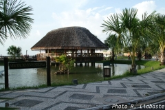PICT0953