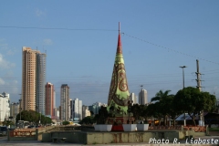 PICT0955