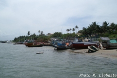 PICT1060